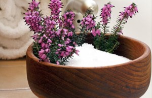 health-and-epsom-salt